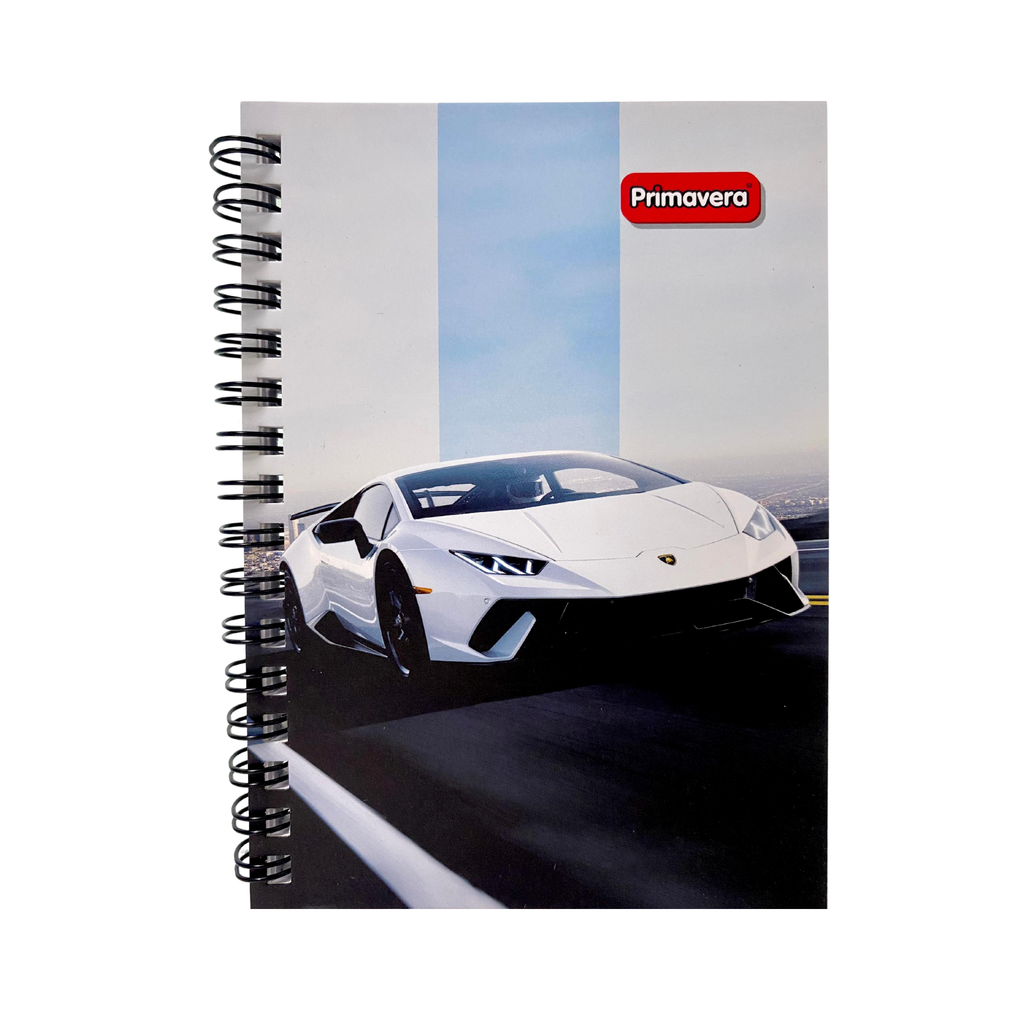 Libreta Argollada Primavera pequeña Masculina