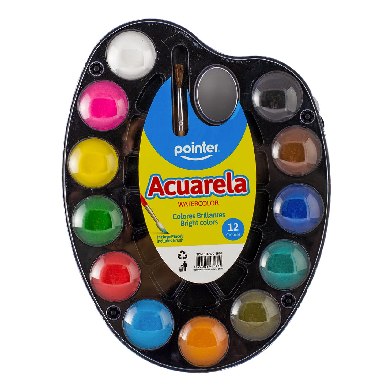 Acuarela Pointer X12 colores con pincel WC-5570