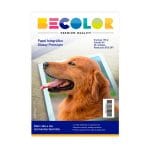 Papel Fotográfico 135g X20h Ahroyal